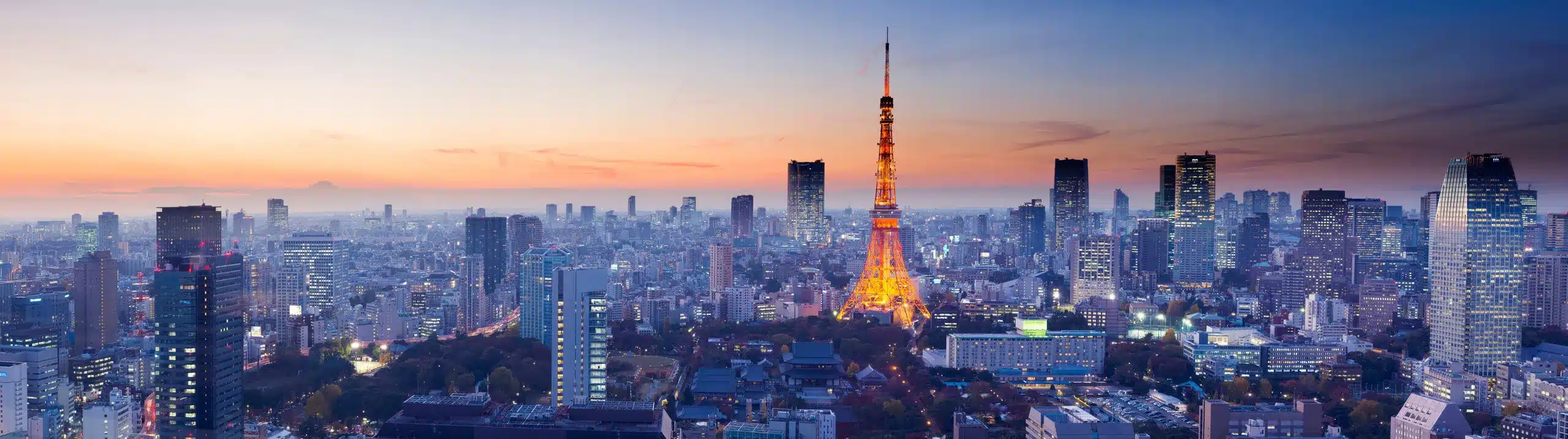 CloudWave infrastructure and network in Tokyo
